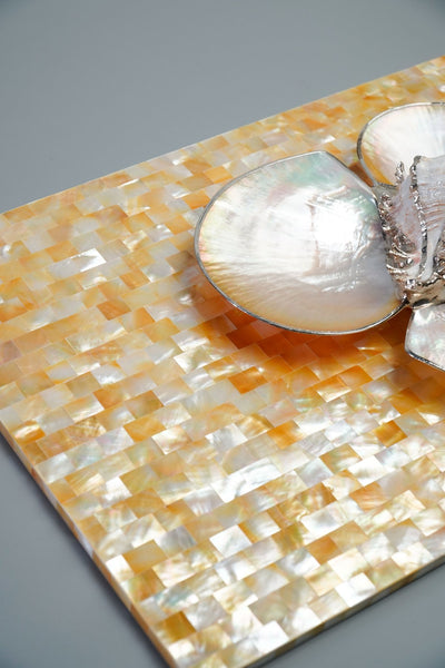 Everything You Need To Know About Mother of Pearl
