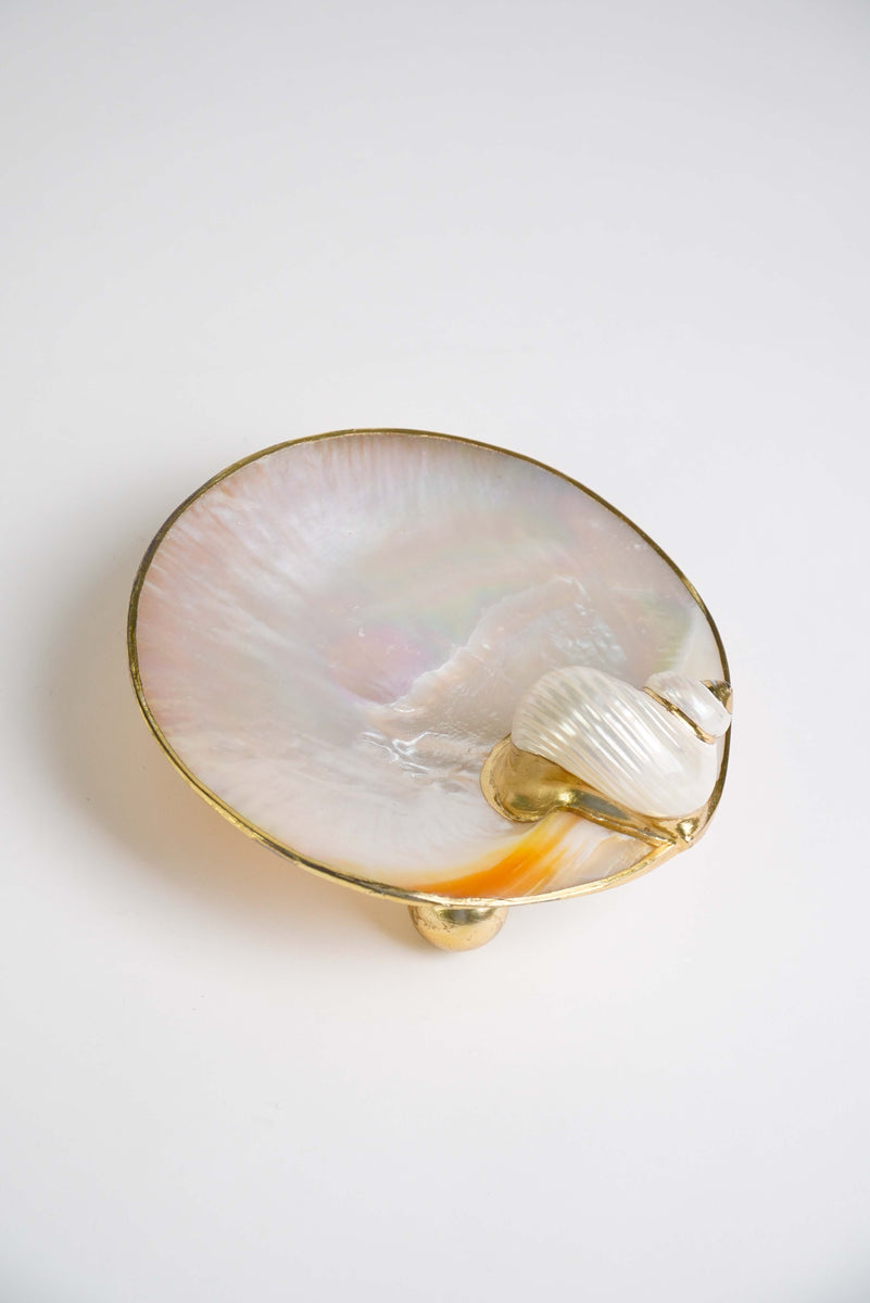 Mother of Pearl Dish with Turbo Shell 6