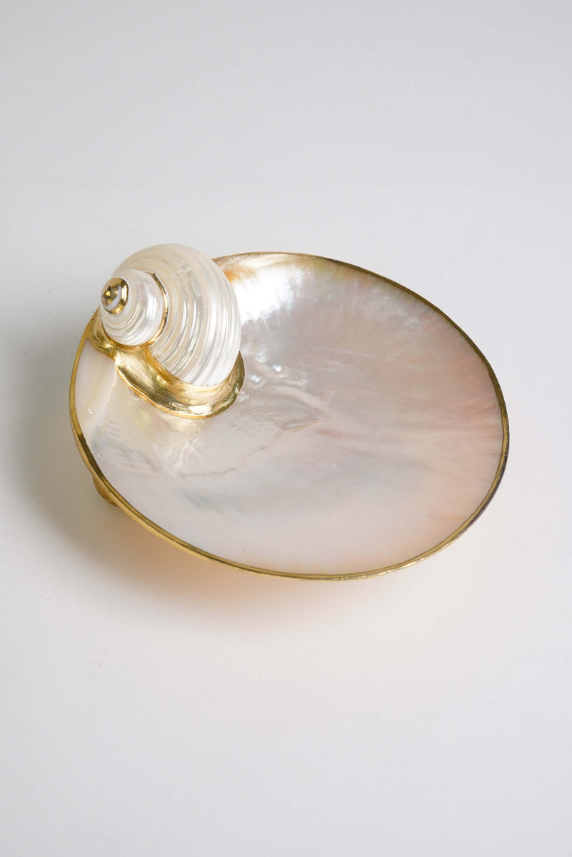 Mother of Pearl Dish with Turbo Shell 6