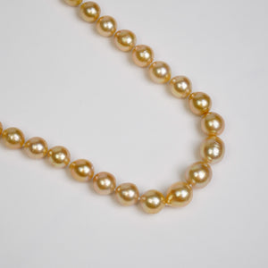 South Sea Pearl Strand Necklace in Gold