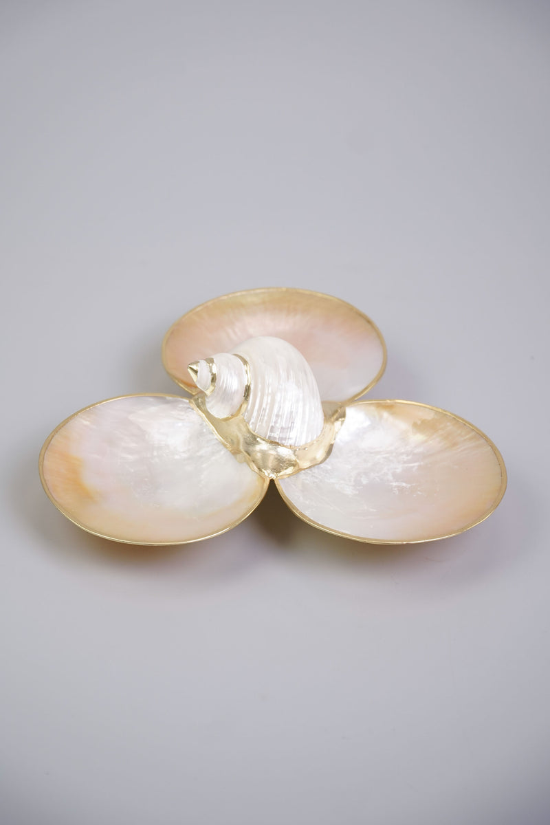 Mother of Pearl Triple Utility Dish with Shell in White - Kultura ...
