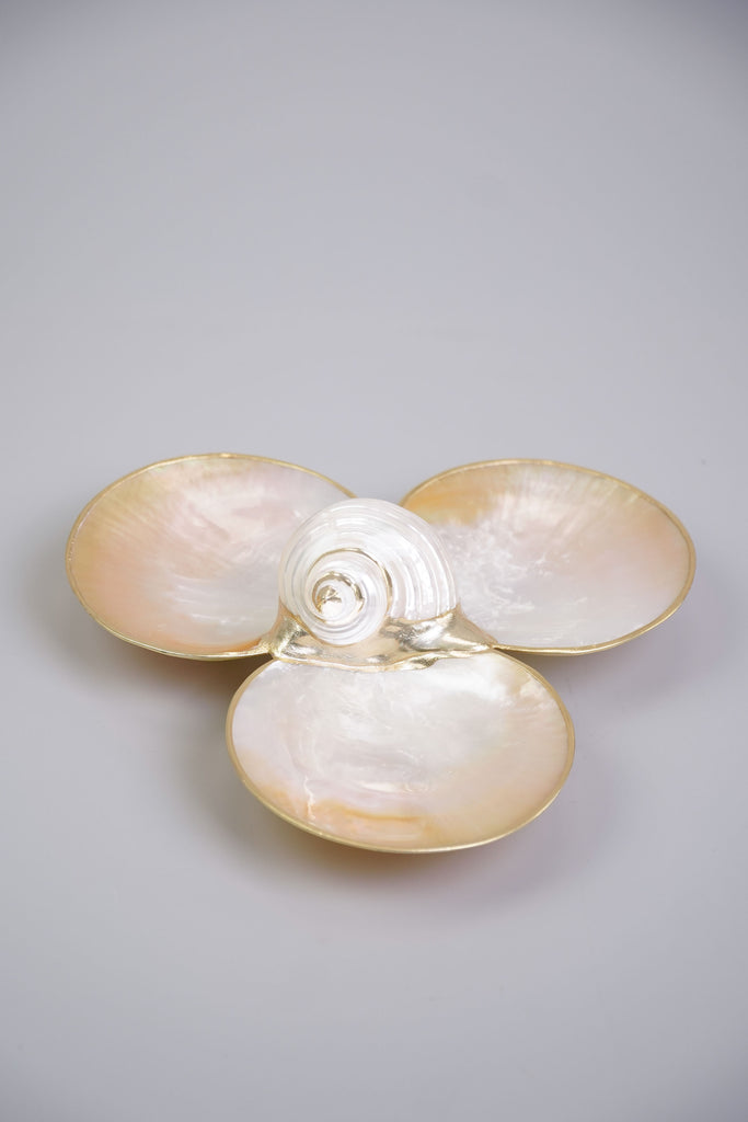 Mother of Pearl Triple Utility Dish with Shell in White - Kultura