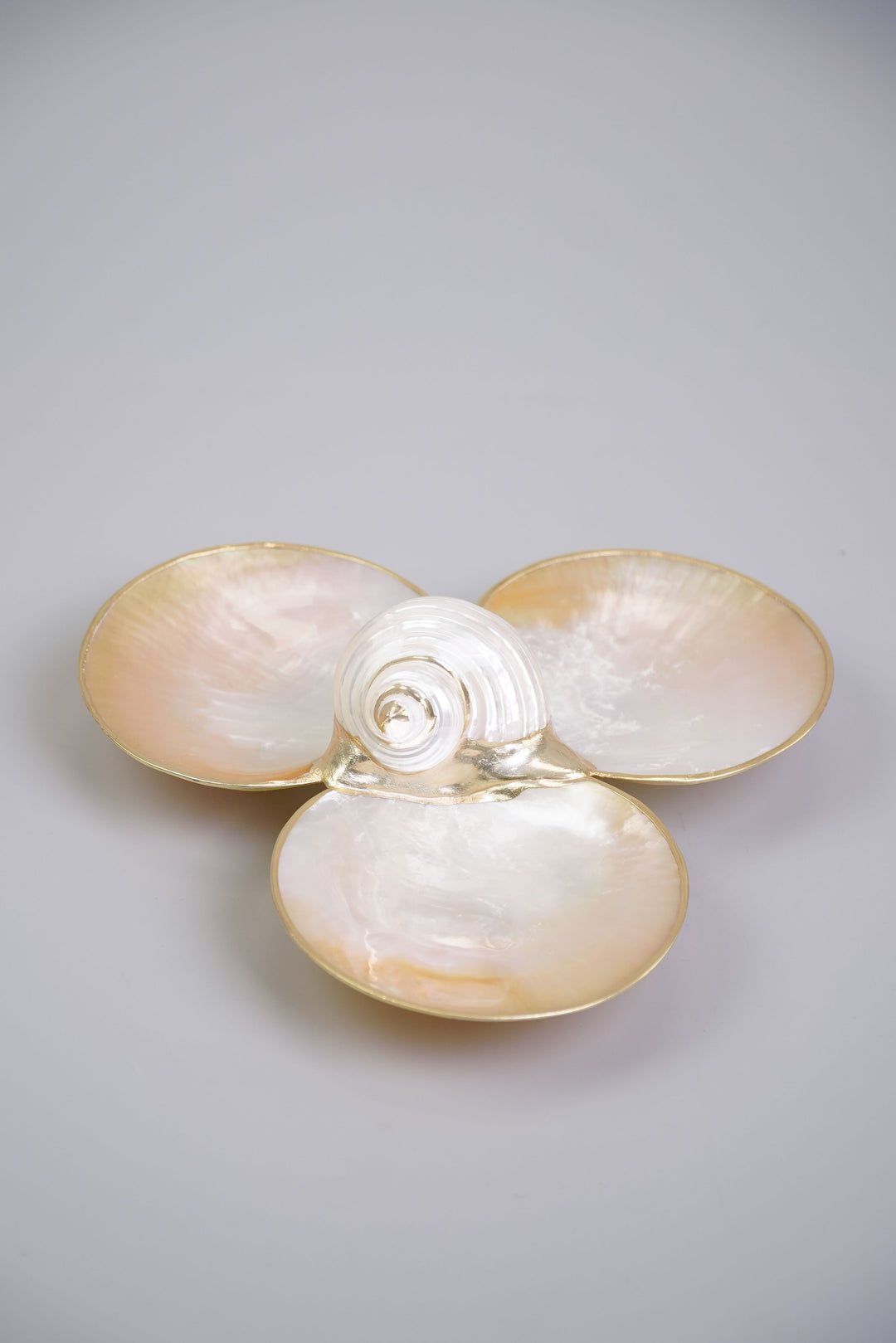 アンティークピンディッシュ Mother of Pearl Shell Mother of Pearl Triple Utility Dish with Shell in White - Kultura