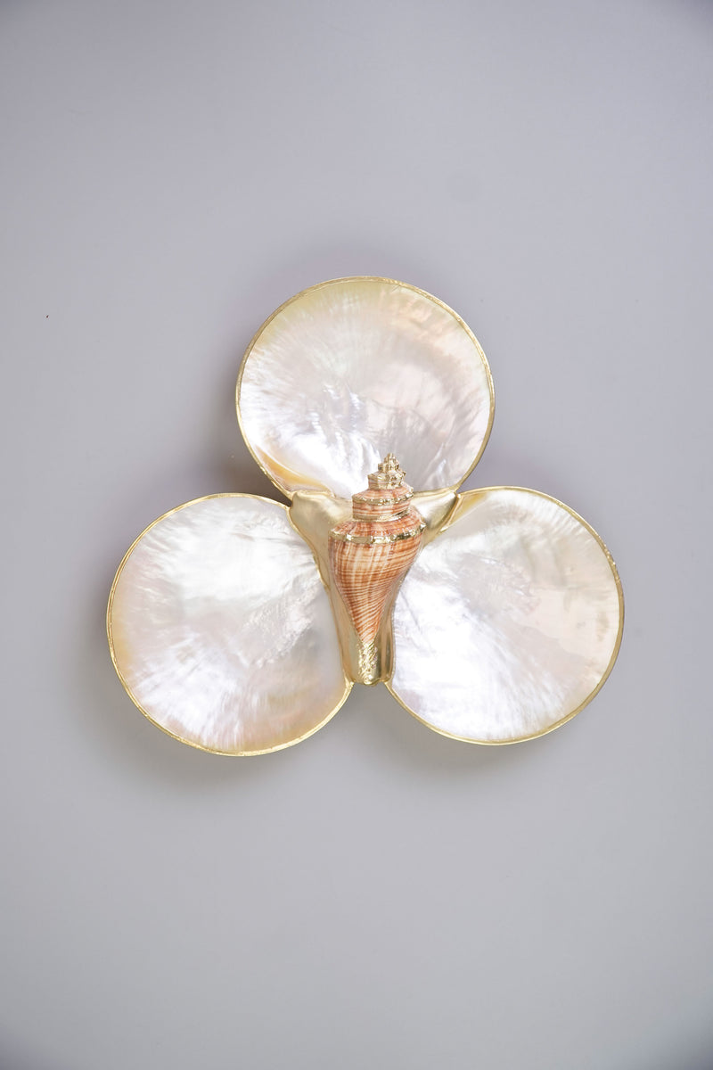 Mother of Pearl Triple Utility Dish with Shell in Brown – Kultura ...
