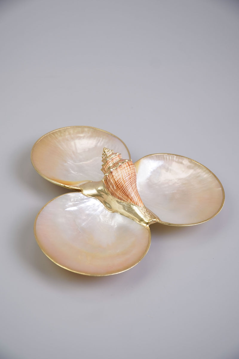 Mother of Pearl Triple Utility Dish with Shell in Brown – Kultura ...