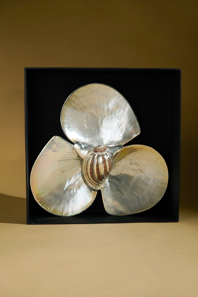 Mother of Pearl Triple Utility Dish with Harpa Shell 5