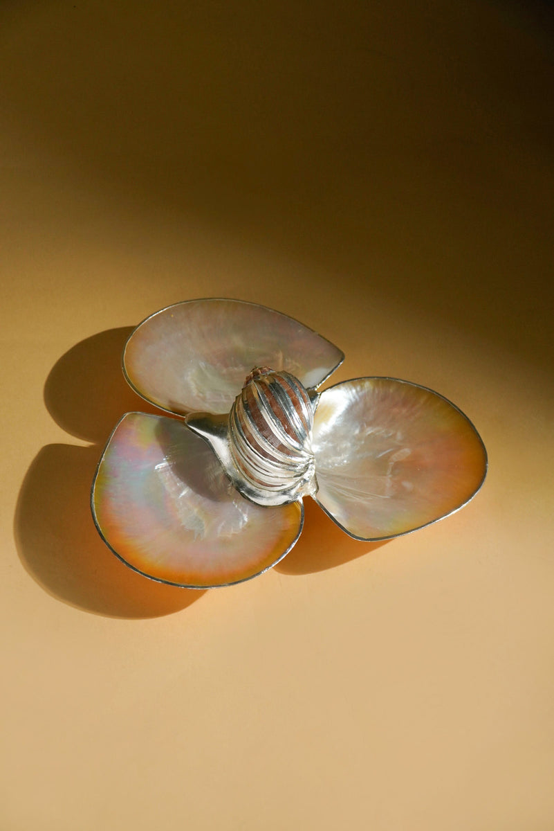 Mother of Pearl Triple Utility Dish with Harpa Shell 5