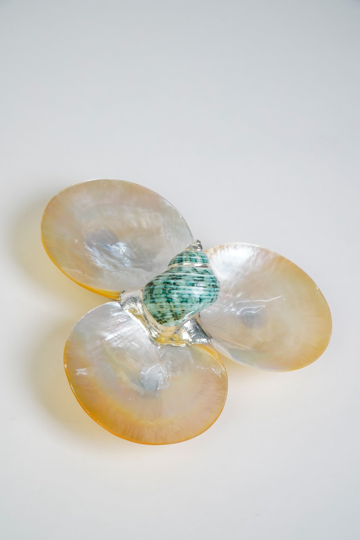 Mother of Pearl Triple Utility Dish with Shell in White - Kultura ...