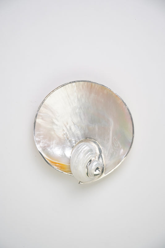 Mother of Pearl Utility Dish with Turbo Shell 5