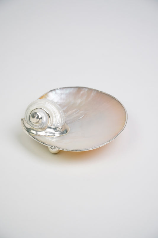 Mother of Pearl Utility Dish with Turbo Shell 5