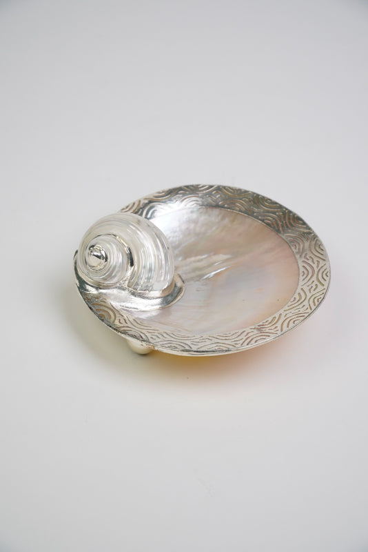 Mother of Pearl Utility Dish with Turbo Shell and Silver Rim – Kultura ...